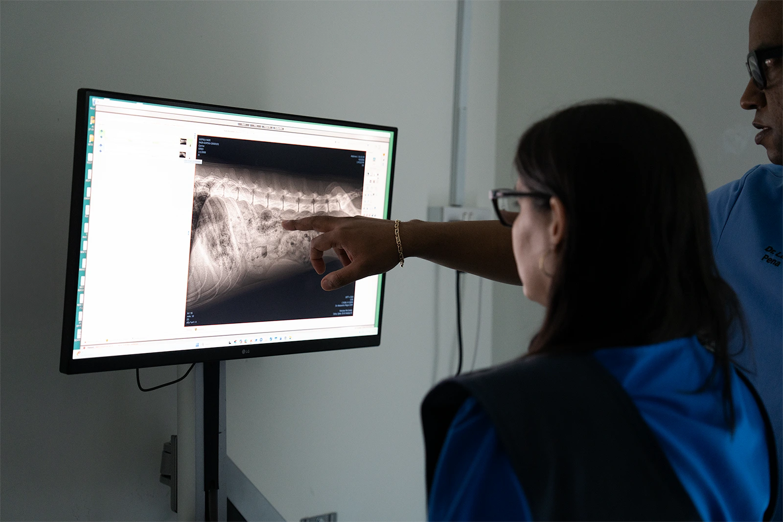 الفريق البيطري يراجع الأشعة السينية الرقمية في مركز بارك فيو للحيوانات الأليفة الدوحة قطر