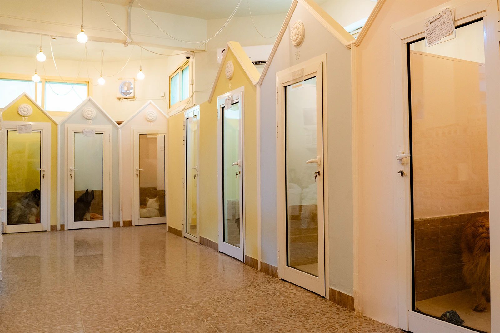 إيواء الكلاب في مركز بارك فيو للحيوانات الأليفة الدوحة قطر