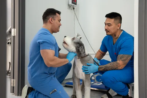 الخطط الصحية في مركز بارك فيو الدوحة