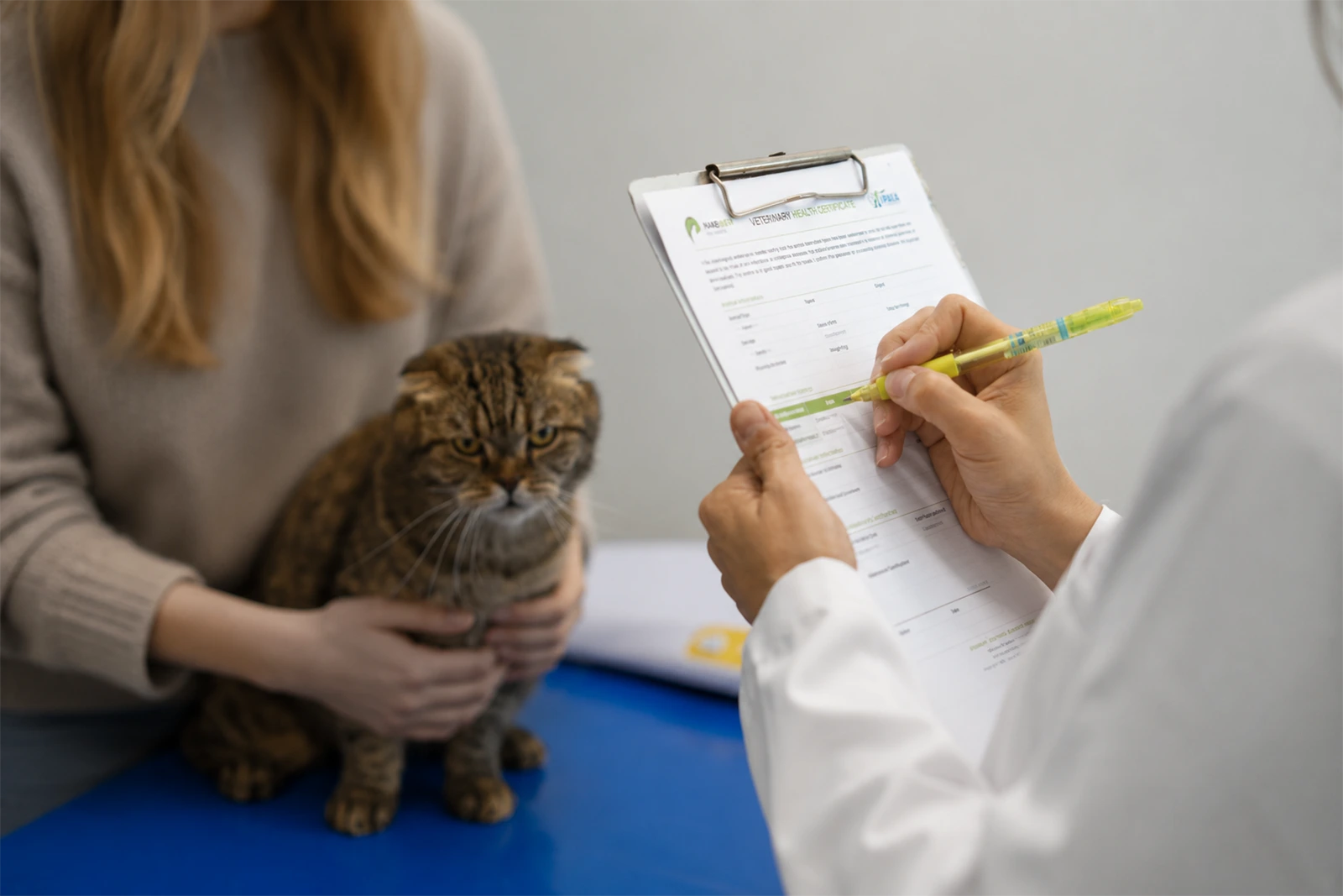 Pet health certificate for travel at Parkview Pet Center in Doha, Qatar