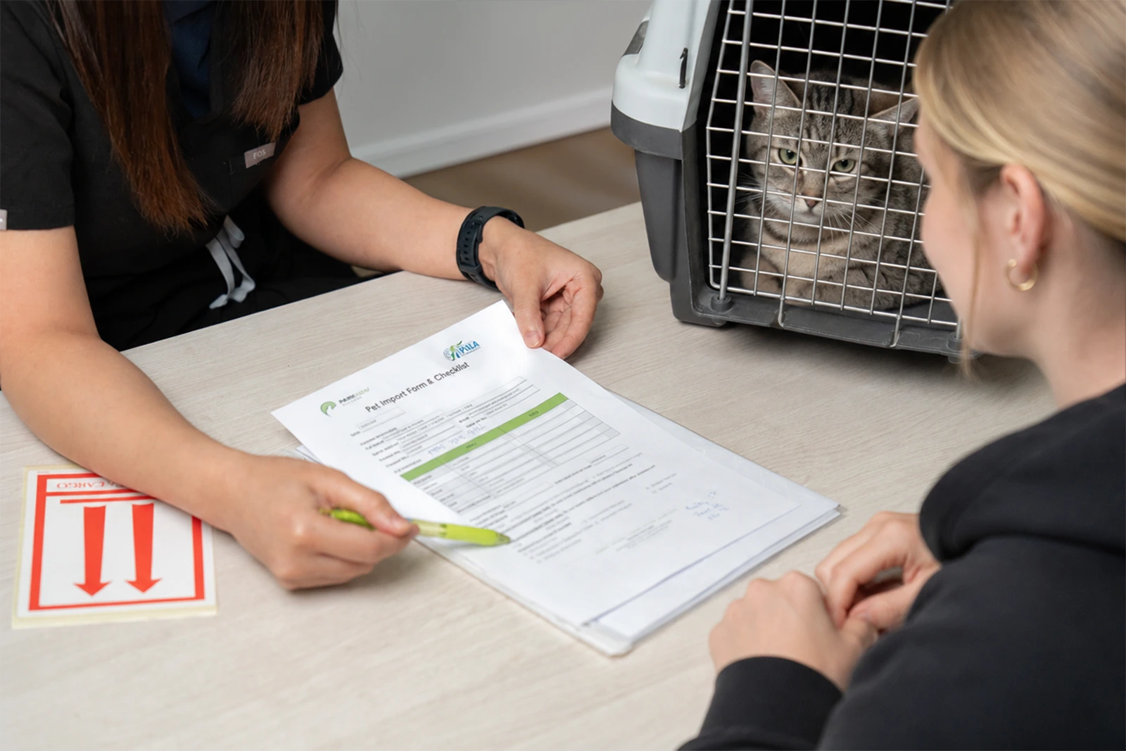 Pet import guide for Qatar at Parkview Pet Center in Doha