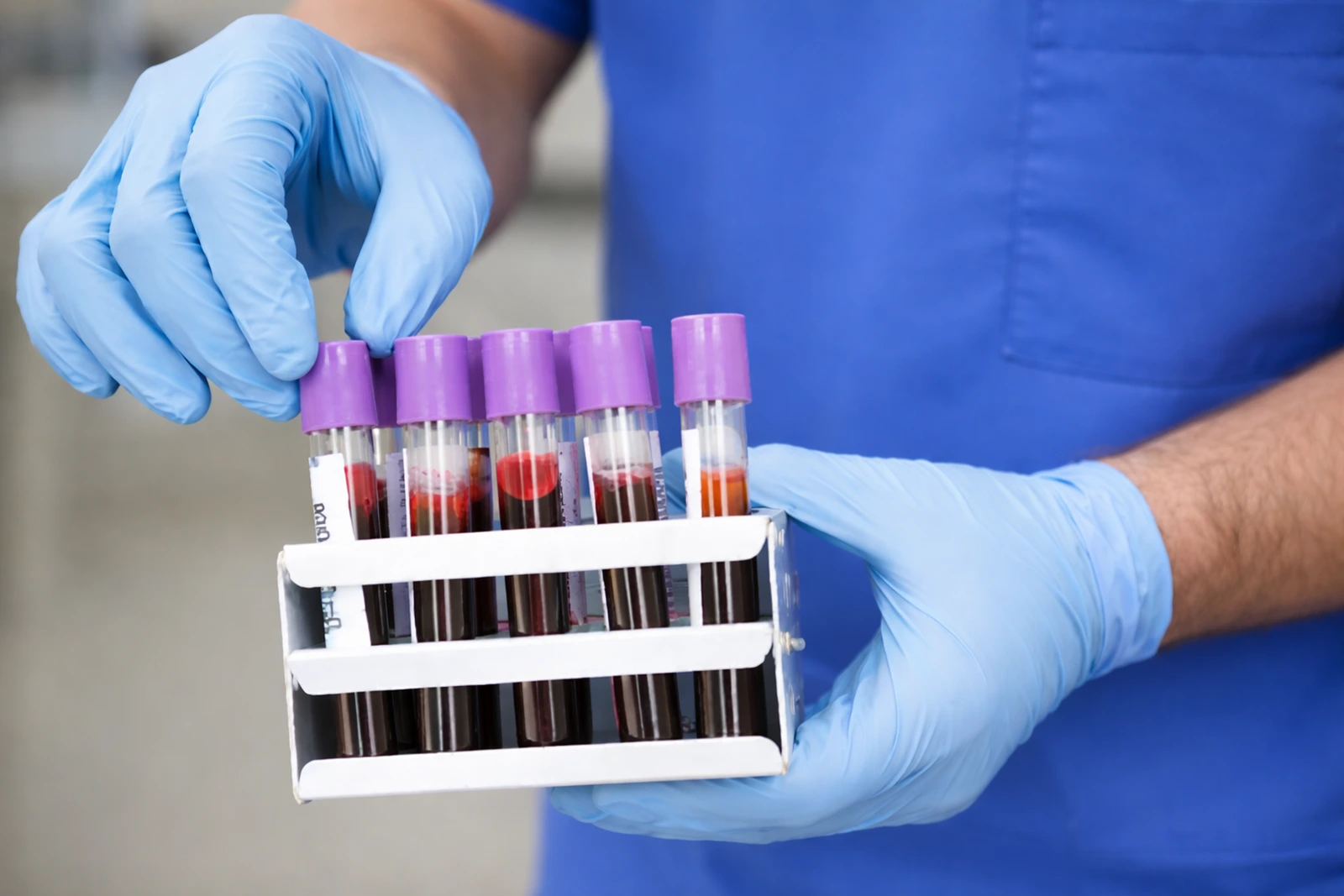 In-house veterinary laboratory at Parkview Pet Center in Doha, Qatar