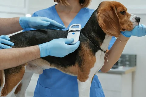 الرقاقات الإلكترونية في مركز بارك فيو الدوحة