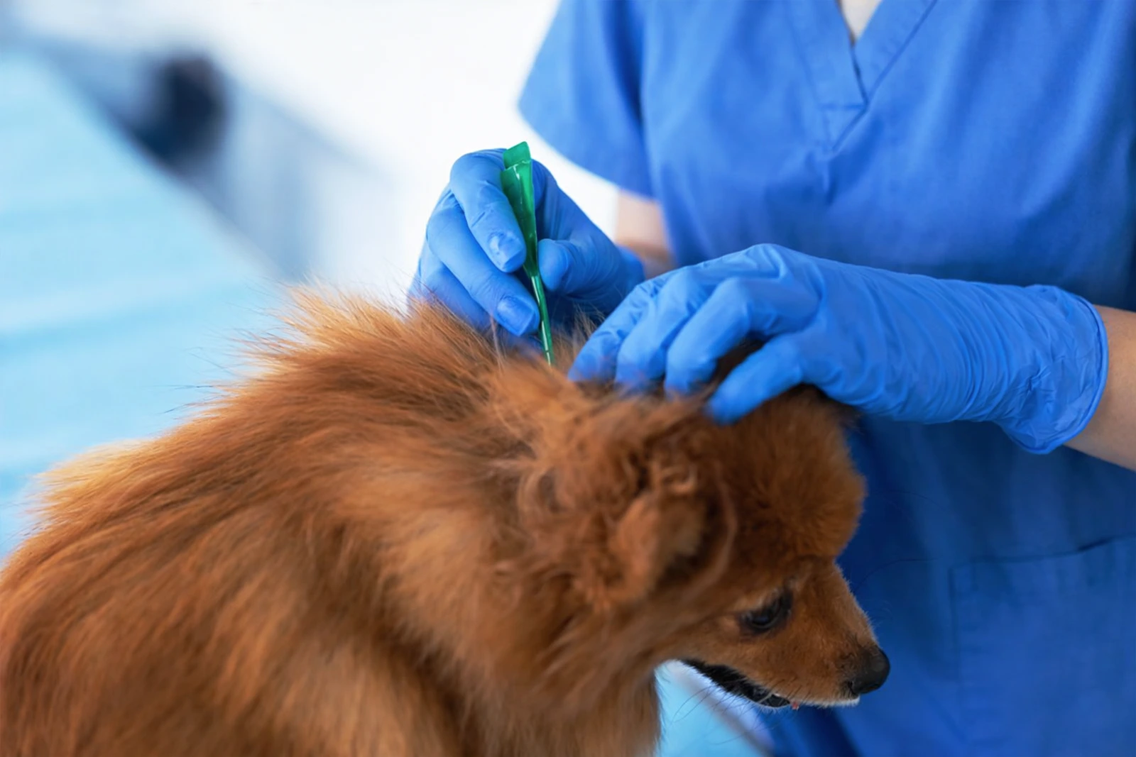 Parasite prevention treatment for pets at Parkview Pet Center in Doha, Qatar