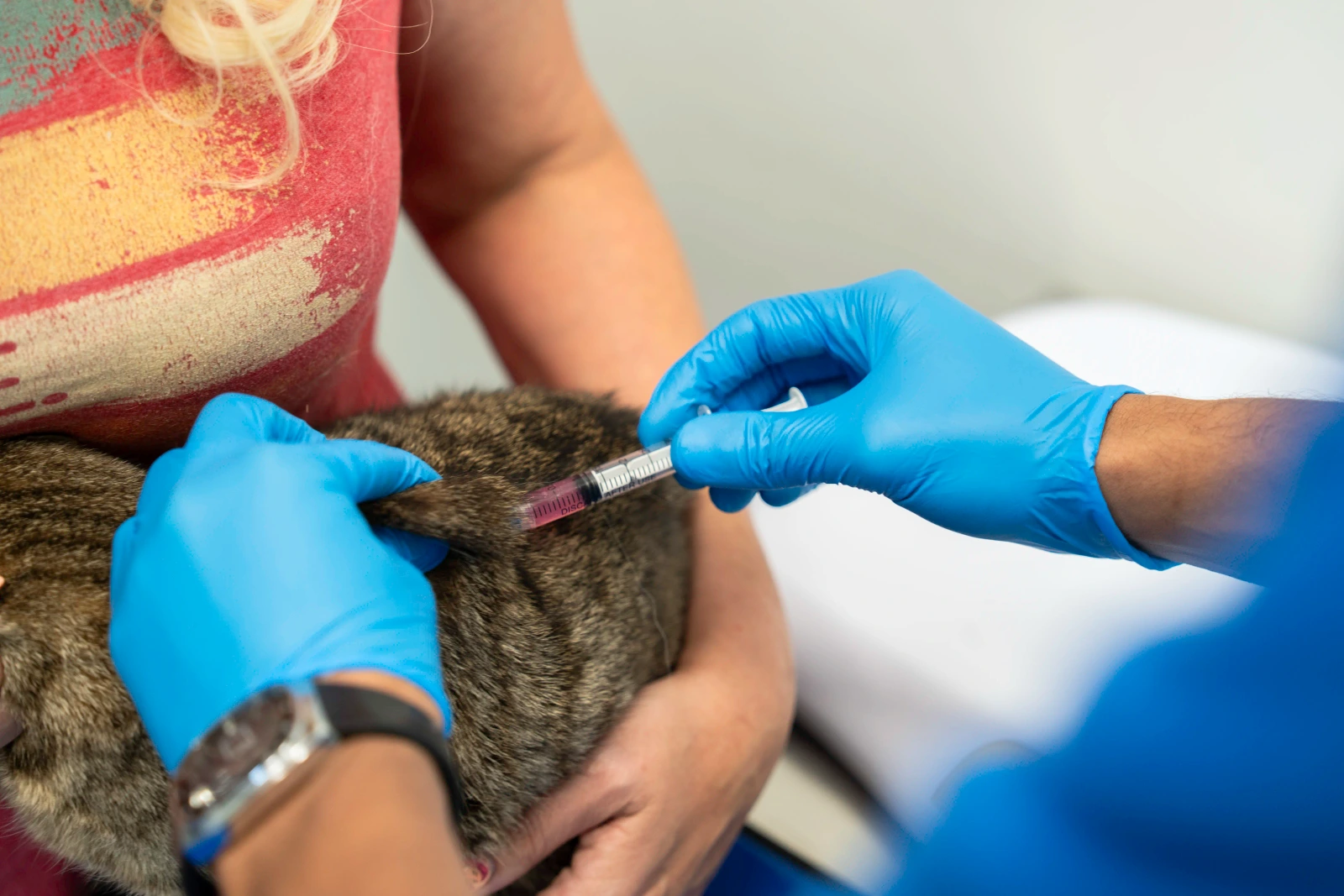 Pet vaccination at Parkview Pet Center in Doha, Qatar