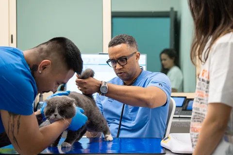 الاستشارات في مركز بارك فيو الدوحة