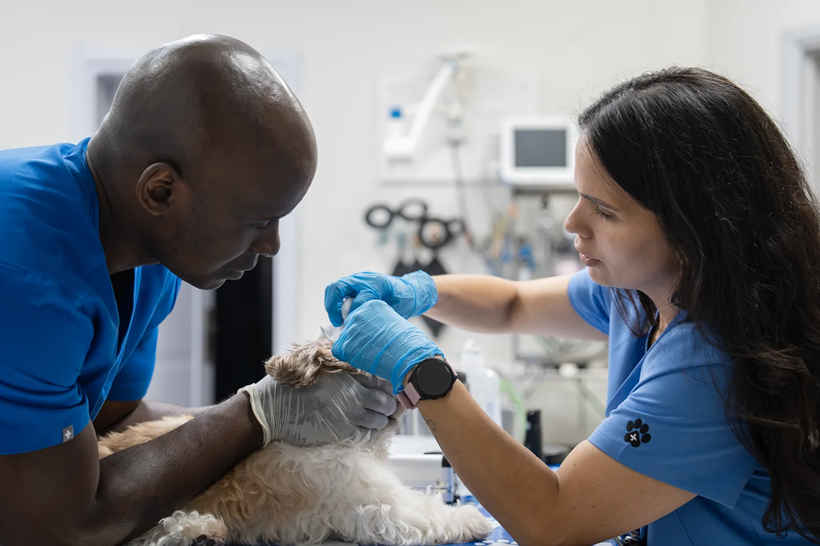 فريق الرعاية البيطرية في مركز بارك فيو للحيوانات الأليفة الدوحة قطر