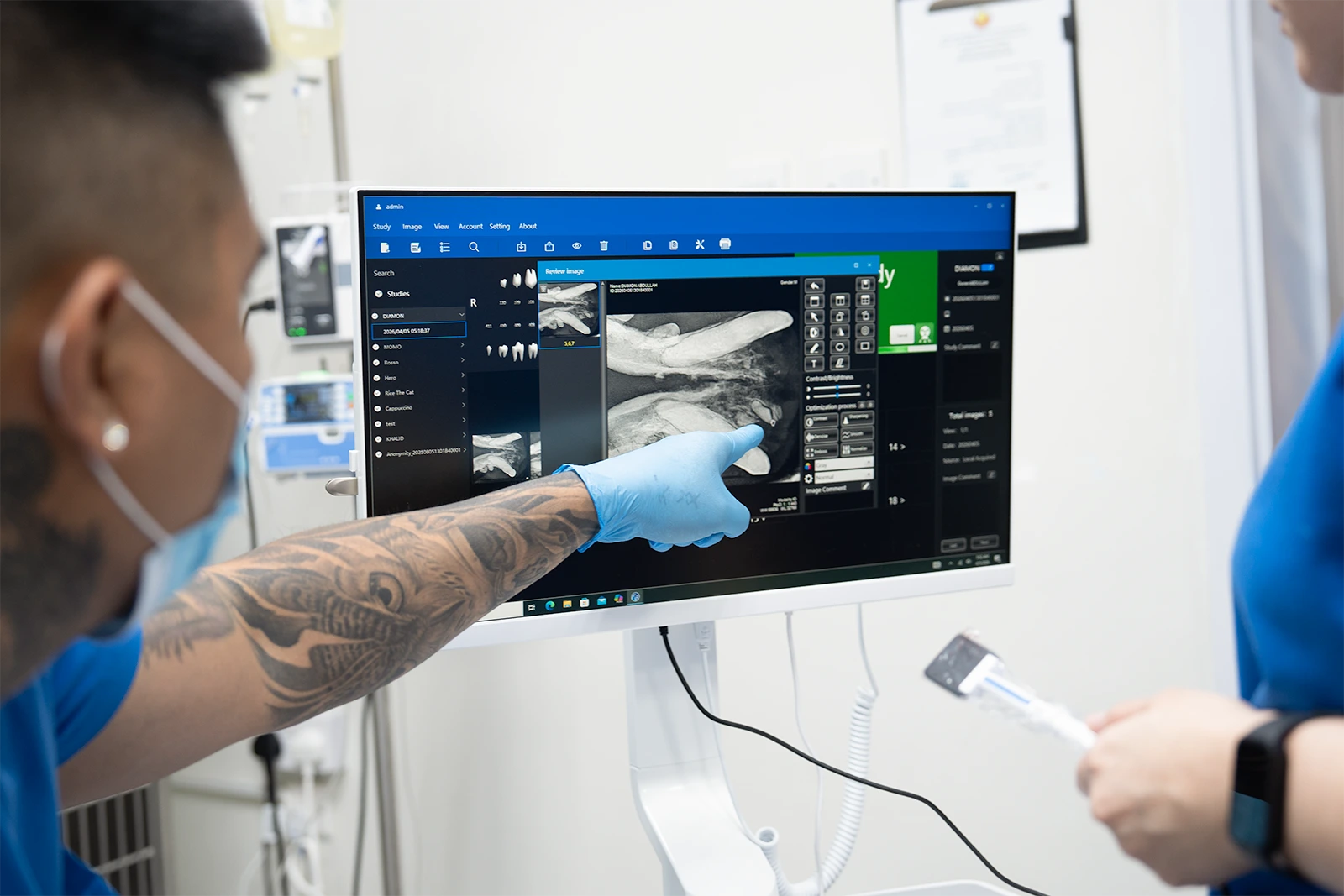 Veterinary dental X-ray analysis at Parkview Pet Center in Doha, Qatar